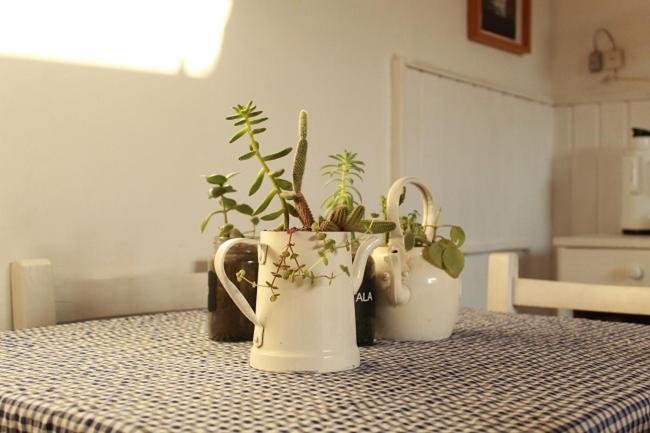 Alma De Proa Bed & Breakfast San Antonio de Areco Dış mekan fotoğraf